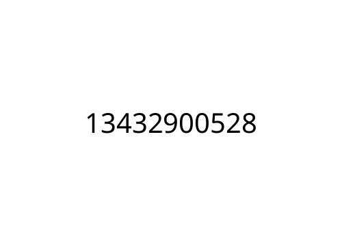 13432900528