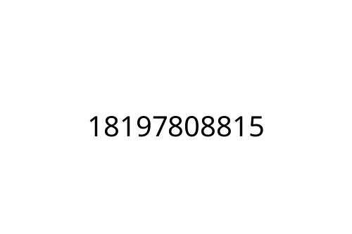 18197808815