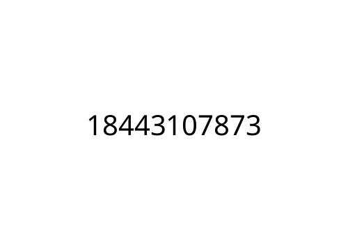 18443107873