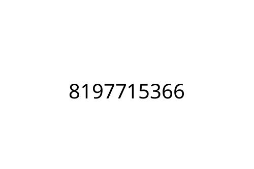 8197715366