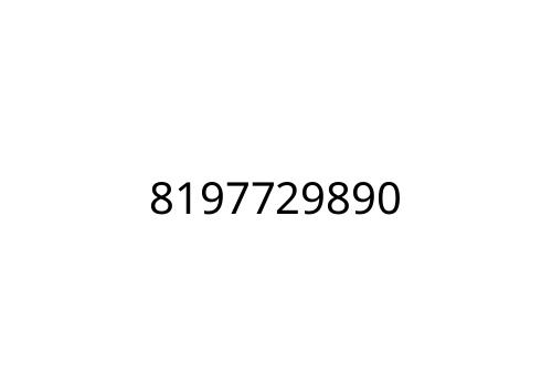 8197729890