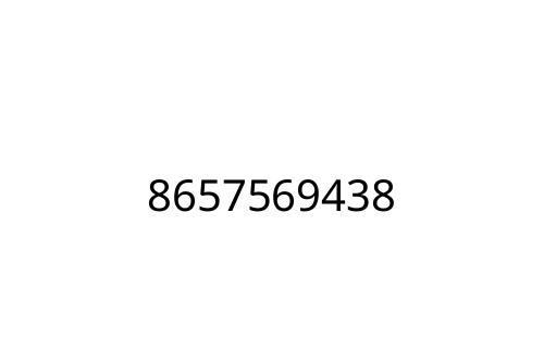 8657569438
