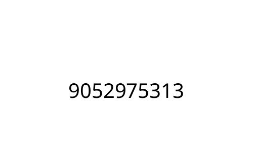 9052975313