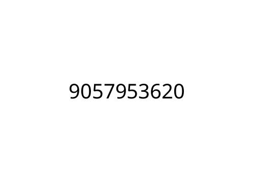 9057953620