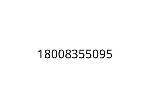 18008355095