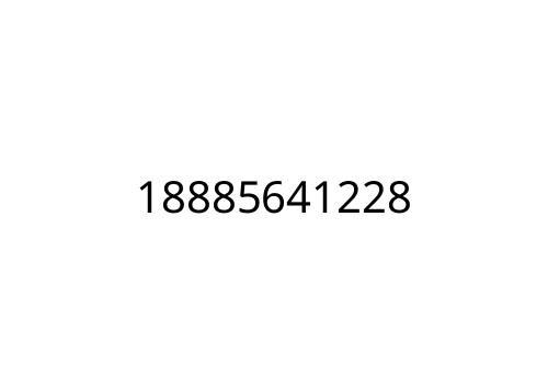 18885641228