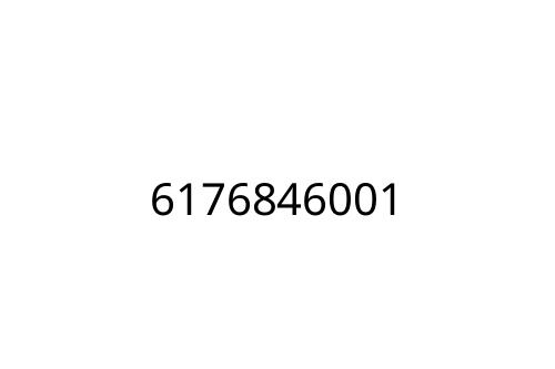 6176846001