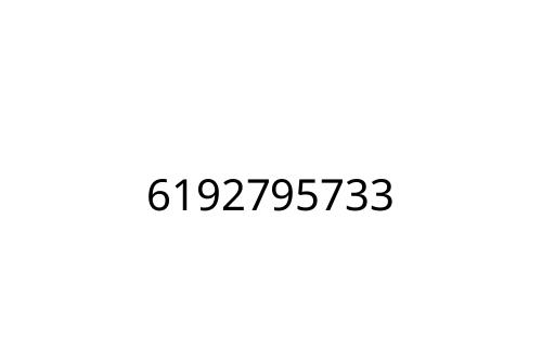 6192795733