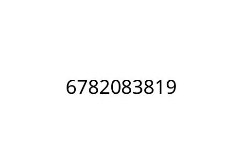 6782083819