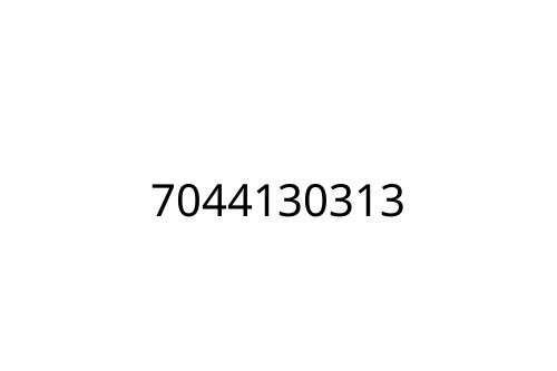 7044130313