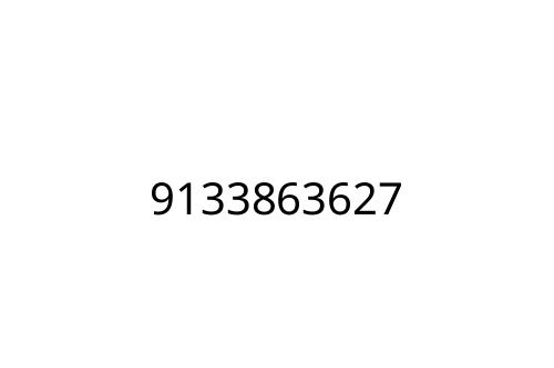 9133863627