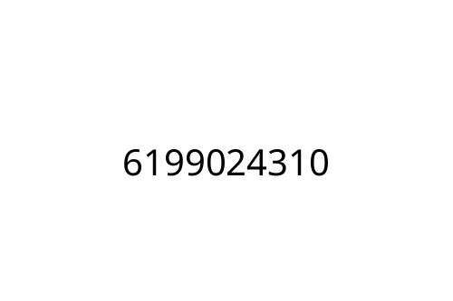 6199024310