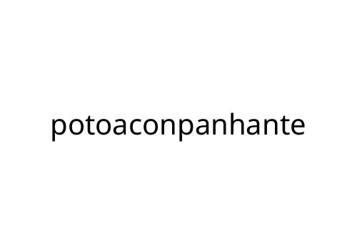 potoaconpanhante