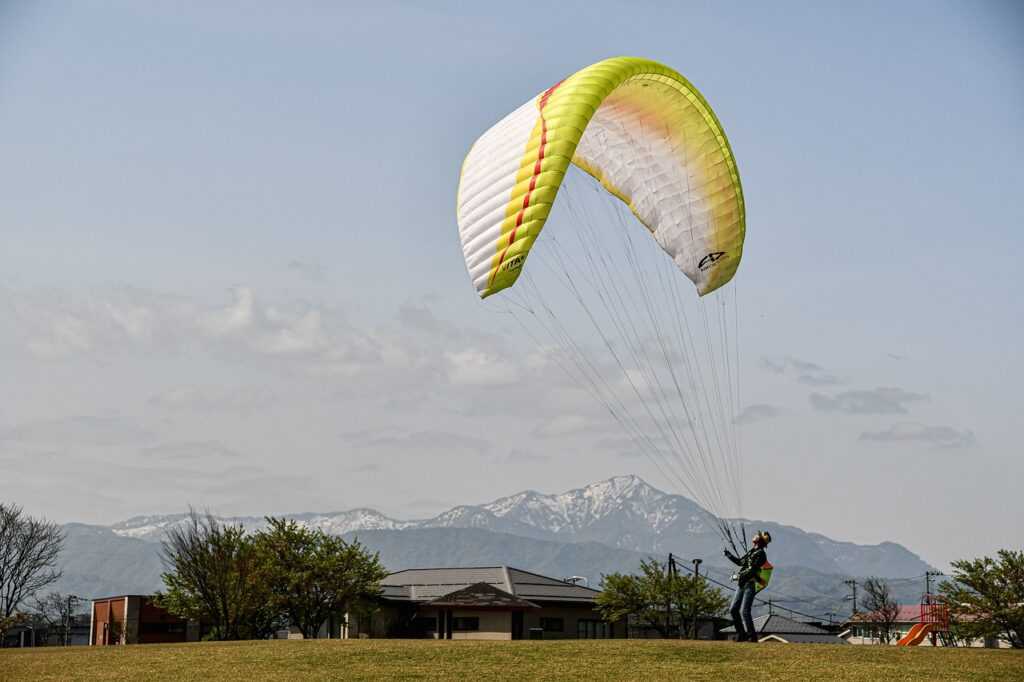 art directory arcahexchibto