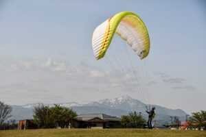 art directory arcahexchibto