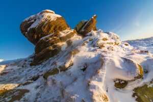 best logo dimensions flpcrestation