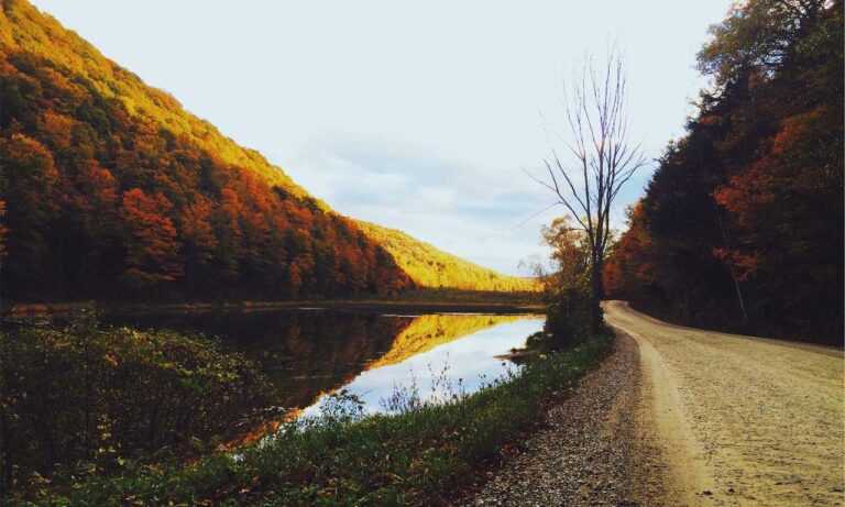 can canvas paintings be rolled arcahexchibto