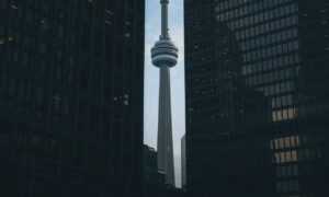 can you darkwarfall game make money