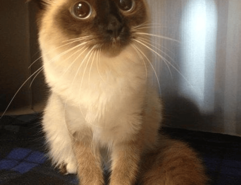 exhibition art arcachdir