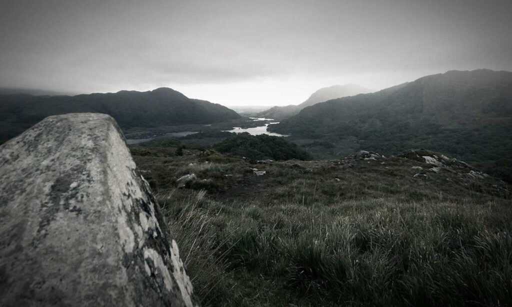 exhibitions arcyhist