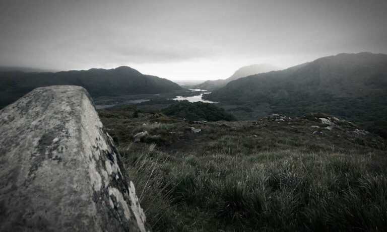 exhibitions arcyhist