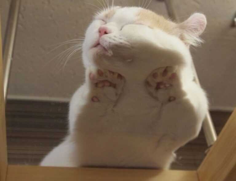 how do galleries hang paintings arcahexchibto