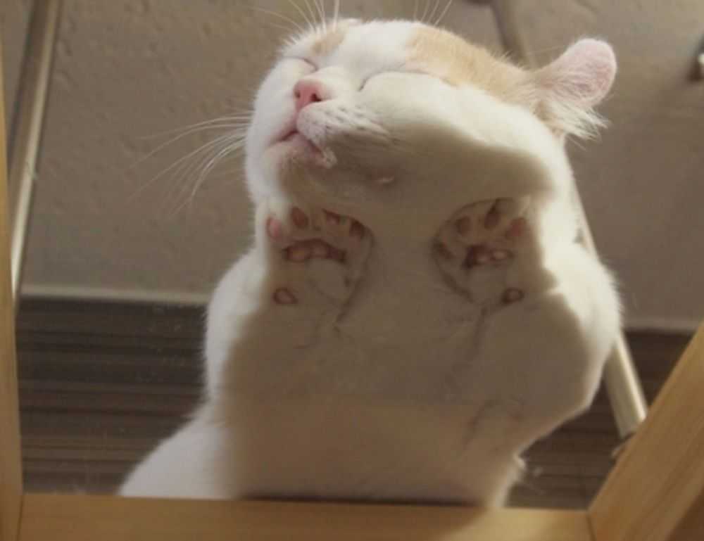 how do galleries hang paintings arcahexchibto