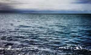 how to submit paintings to a gallery arcahexchibto