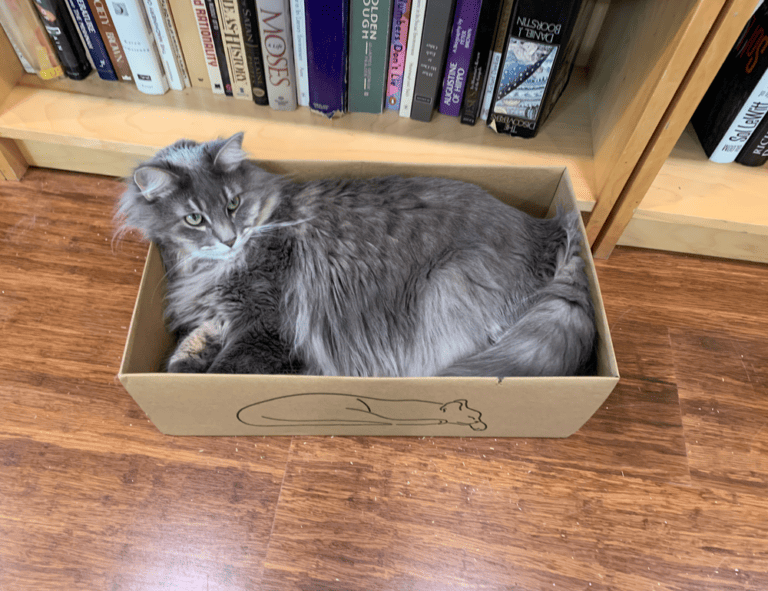 is lescohid herbicide the best for grass