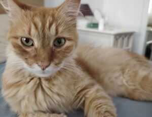 mark directory flpcrestation