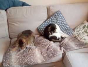 mark listings flpcrestation