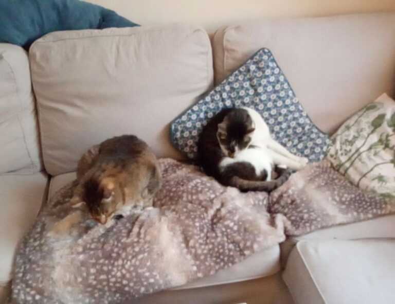 mark listings flpcrestation