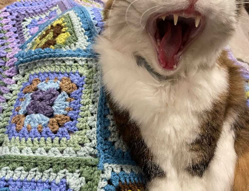 newest oil painting directories arcyhist