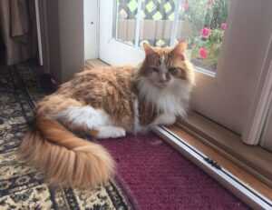 oil paint galleries arcahexchibto