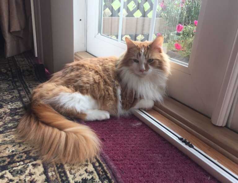 oil paint galleries arcahexchibto