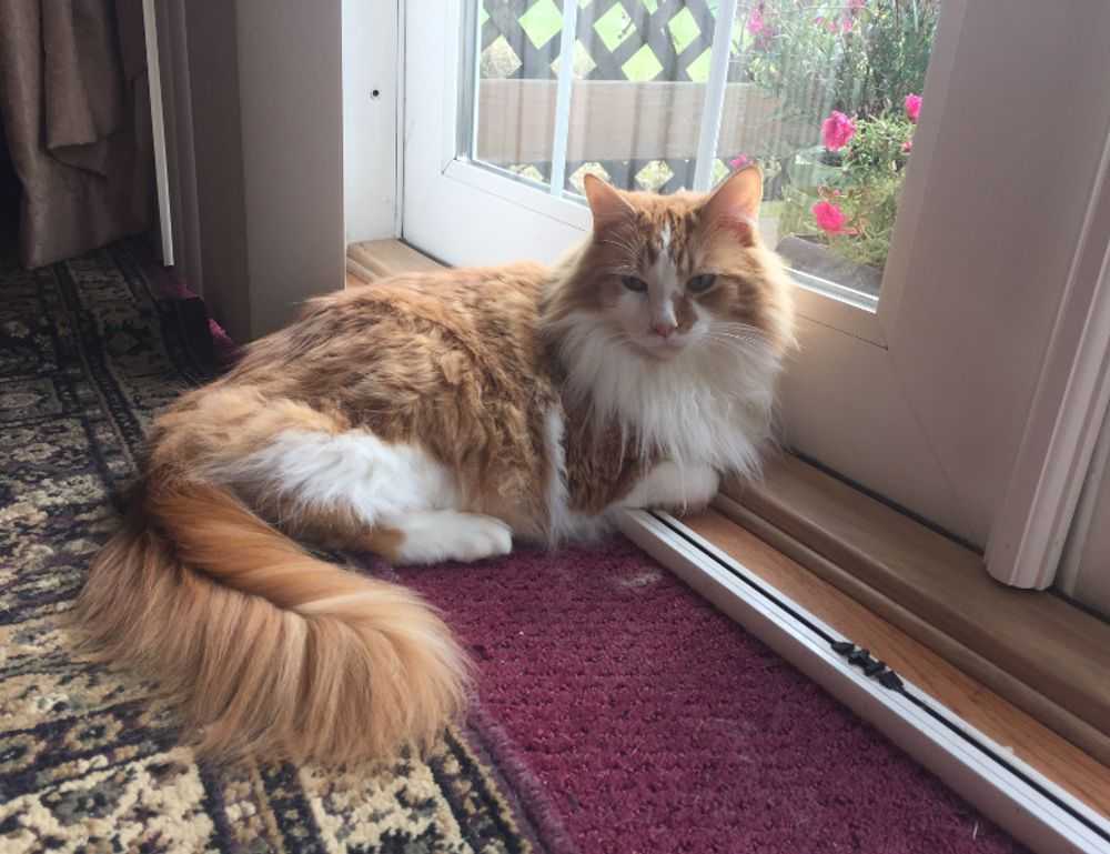 oil paint galleries arcahexchibto