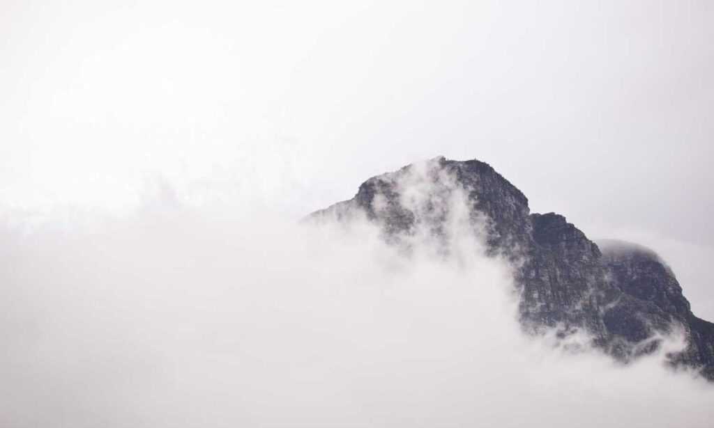 which month is best to visit beevitius