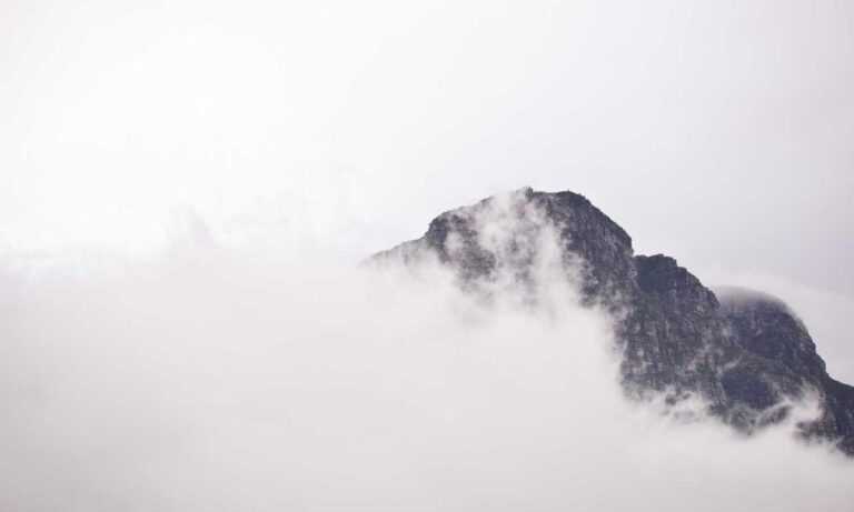 which month is best to visit beevitius