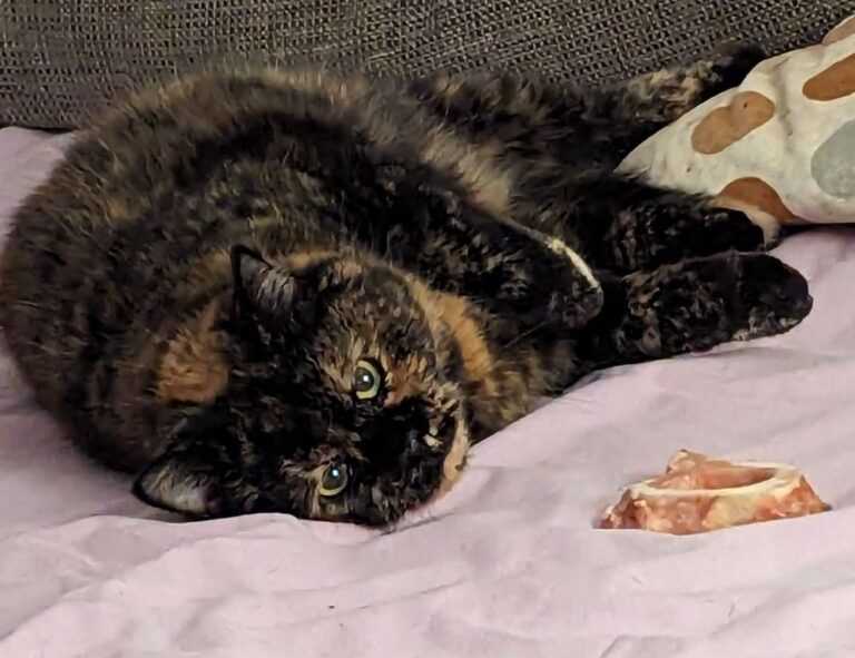 why do paintings sell for so much arcachdir