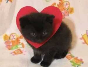 why painting is hard arcyhist