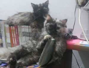 0297xud8 python code error