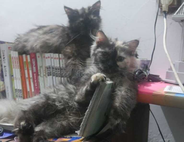 0297xud8 python code error