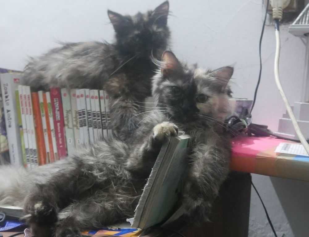 0297xud8 python code error