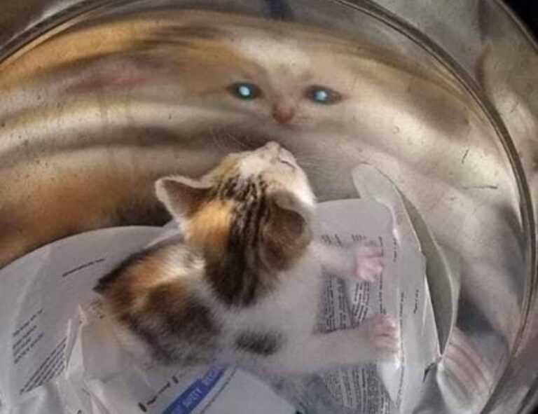 1080p badass itachi wallpaper