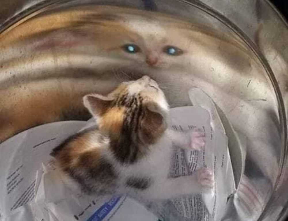 1080p badass itachi wallpaper