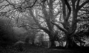 gastronomia tattoo de chef