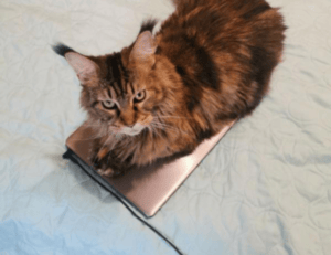 letras antiguas bonitas