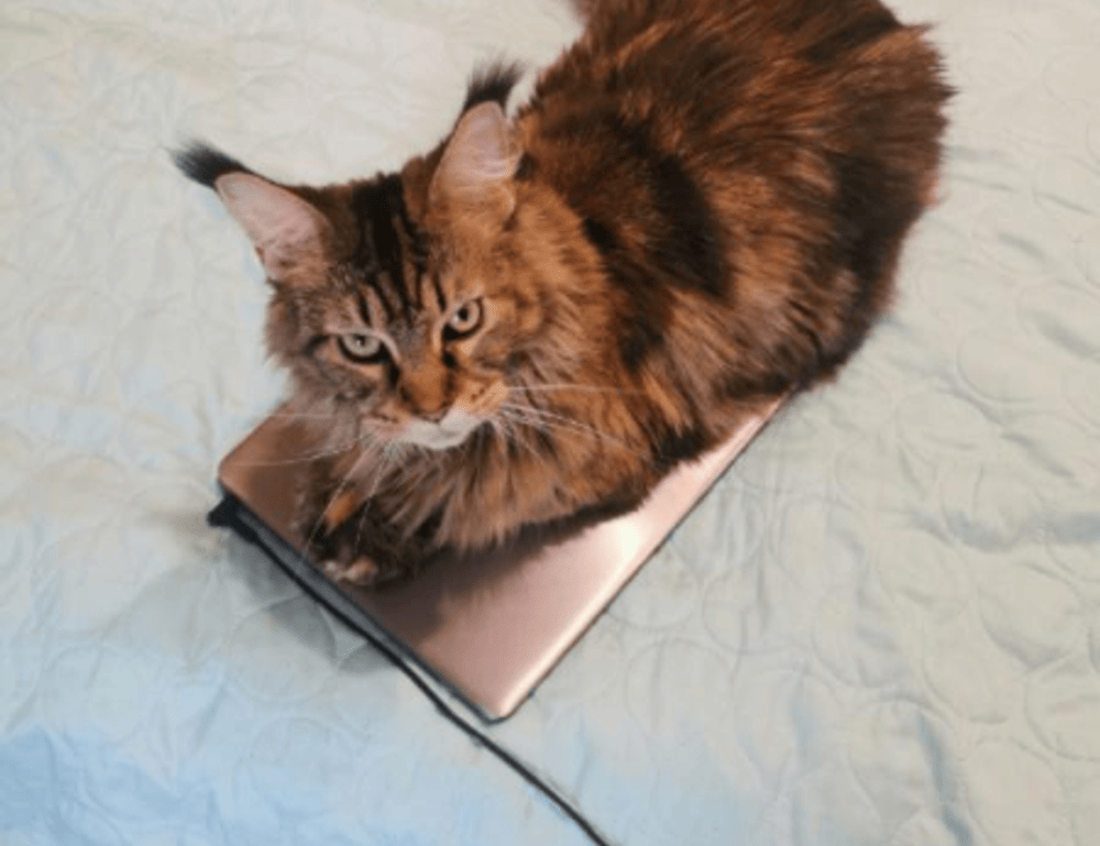 letras antiguas bonitas