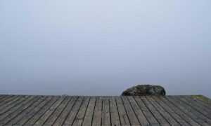 ultra instinct:g11_1q4380i= goku