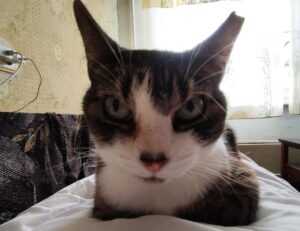 what does mhm mean on snap